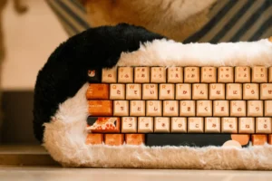 Dry Studio Launches Petbrick 65 Cat-Themed Mechanical Keyboard with Detachable Plush Frame and Triple Connectivity Modes