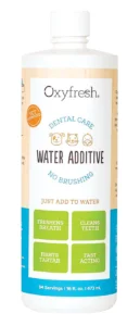 Feline Dental Disease: A Silent Epidemic Threatening Cat Health and Longevity, Experts Urge Proactive Veterinary Care and Home Prevention