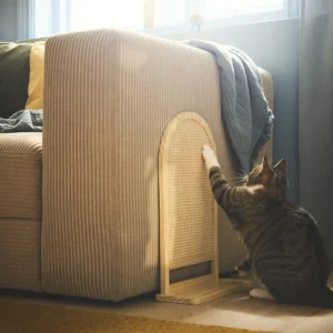 IKEA Unveils UTSÅDD Collection a 29-Piece Design-Forward Range for Pets and Modern Homes