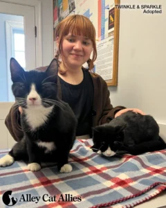 Justice for a Kitten, Transformations for Strays: Alley Cat Allies Reports on March Victories