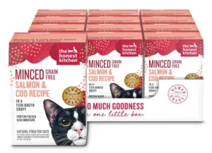 Navigating the Landscape of Feline Food Allergies: A Comprehensive Guide to Hypoallergenic Cat Food Options