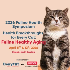 Registration is now open for the 2026 EveryCat/NC State Feline Health Symposium.