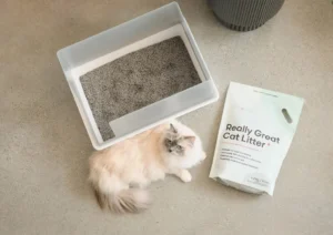 The Evolution of Cat Litter: A Comparative Analysis of Alpha Paw’s Genius Litter and tuft + paw’s Really Great Cat Litter