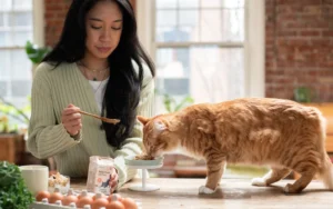 The Feline Hairball Phenomenon: Understanding Causes, Solutions, and the Role of Diet