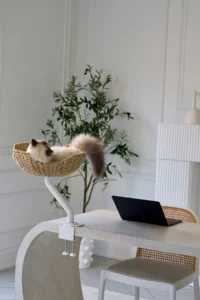 Ergo Purrch Introduces Scandinavian-Inspired Desk-Mounted Cat Beds for the Modern Remote Workspace