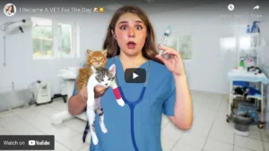 Piper becomes a vet for a day