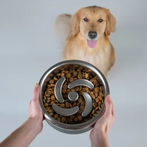 Trot Pets Launches the Elevated Complete Set to Address Health and Aesthetic Needs in the Growing Premium Pet Accessory Market