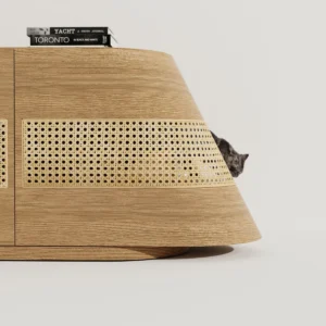 Choo Choo A Modern Console Designed with Your Cat in Mind