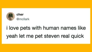 The Universal Reign of Pets: A Deep Dive into the Humorous Heart of Modern Pet Ownership